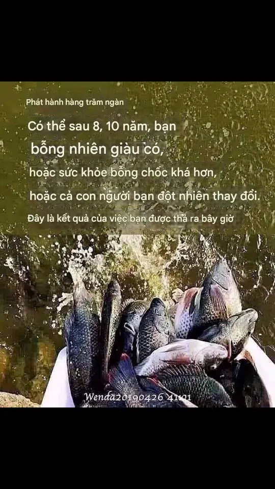 🌈⛅Phóng sanh là trả nợ quá khứ. Tại sao chúng ta nên phóng sanh? Bạn nghĩ rằng thả chúng ra chỉ để vui thôi sao? Tác dụng của việc phóng sanh không chỉ là kéo dài tuổi thọ mà còn là để trả nợ trong quá khứ. Nếu bạn đã phạm tội sát sanh trong quá khứ, thì việc phóng sanh ra không phải là trả nợ sao? Wenda20170310 01:42:58