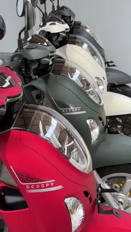 New Honda Scoopy Prestige dan Stylish  ✅ Tunai / Kredit dp mulai 1 jta an ➡️ PERSYARATAN HANYA KIRIM FOTO KTP & KK *ASLI DOMISILI MALANG JAWA TIMUR* (Proses dari rumah) ➡️ Bisa TUKAR TAMBAH Motor yang Lama ( All Merk)  Hubungi ☎️ Farid Honda Kartika sari Malang ( Pasar Besar)  Tlp/Wa https://wa.me/6285706379931 #NewHondaScoopy #HondaScoopy #HondaMalang #HondaMalangRaya #HondaMalangJawaTimur 