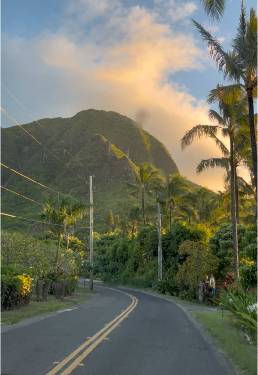 🚙🌴 #scenic #carride #scenicdrive #travel #photography #nature #mountains #mountain #tropical #palmtrees #travelphotography #naturephotography #hawaii #kauai