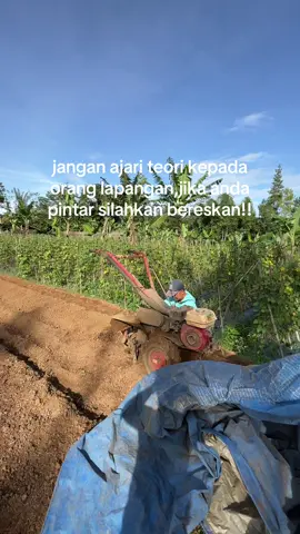 teori gabakal masuk yang masuk adalah pengalaman👍#petaniindonesia🇮🇩🇮🇩🇮🇩🌿🌿 #petanimilenial #petanimuda #petanicabai #petanitimun 