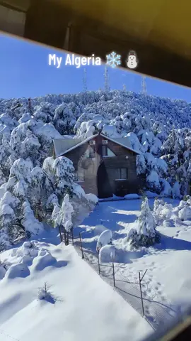 Free Therapy ❄️🤍 . . . .#winteriscoming #chrea #chrea_blida09 #chreablida09 #chri3a_blida #chri3a09🌲🥰♥️ #setif______19سطايفي_يا_خالي #setif_19 #snowman #سطيف_العالي_ٱخاالي 