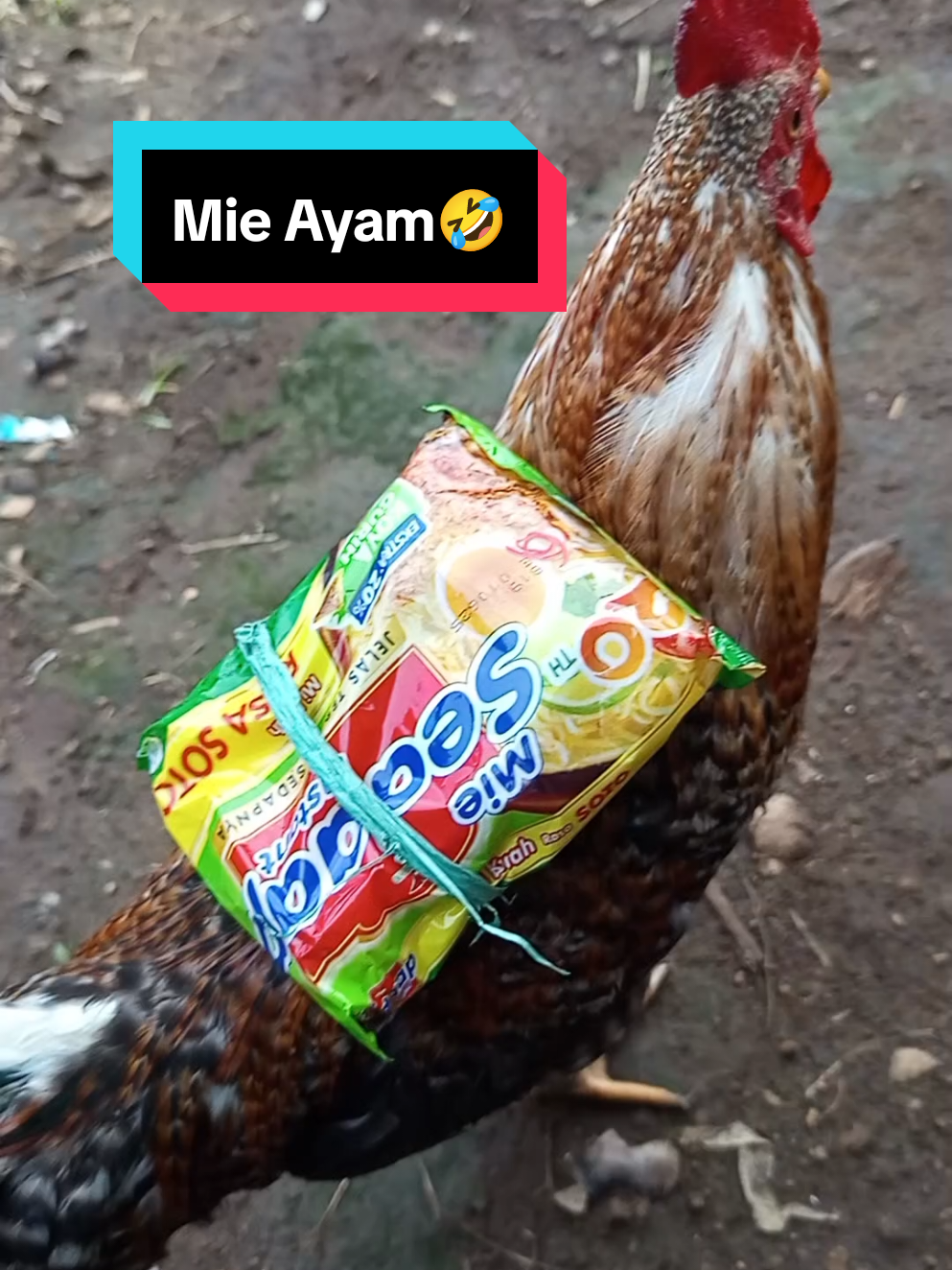 Paket Lengkap Mie ayam 🤣🤣#hookvideokomedi #fyppppppppppppppppppppppp #ngakak ##komedi 