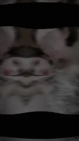 #CapCut 