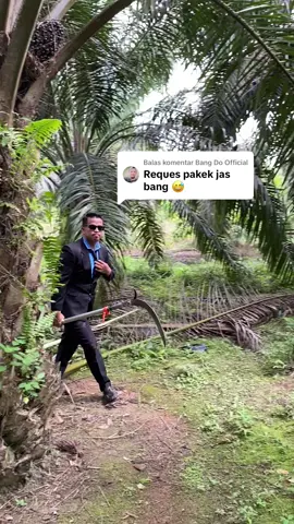 Membalas @Bang Do Official panen juga harus rapi #sawit #fyp #dramapetanisawit #TikTokPromote 