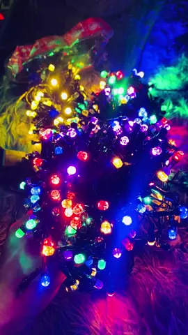 Mẫu đèn led mới 2025 dùng trang trí nhà cửa, sân vườn dịp tết #tet #denled #denledkimcuong #ledtrangtri #ledtrangtringaytet 