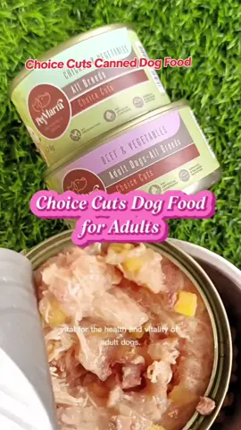 Very Affordable Petmarra Choice Cuts Adult Dog Food #dogfood #petmarra #petessentials #fypage 