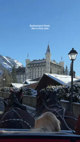 This is a sign to visit Gstaad, Switzerland 🇨🇭🐎🏔️ #oldmoney #oldmoneyaesthetic #oldmoneylifestyle #winterwonderland #luxurylifestyle #switzerland 