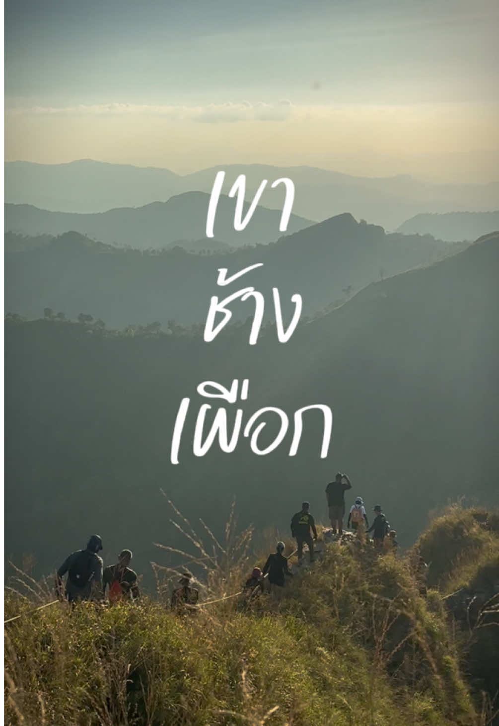 ครั้งหนึ่งในชีวิต! พิชิตเขาช้างเผือก 🐘⛰️  #เดินป่า #tiktokพาเที่ยว #เขาช้างเผือก 