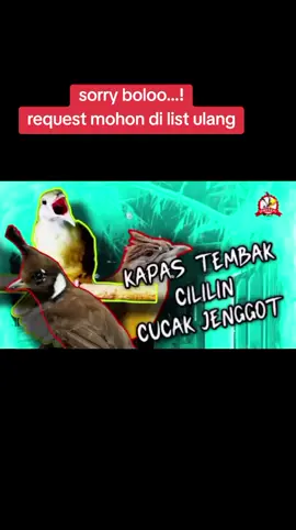 masteran murai materi katem-cililin-jenggot full durasi yt:candi kicau #fyp #muraibatu #mastermurai #masteranmuraibatu ##muraifighter #muraifighter 