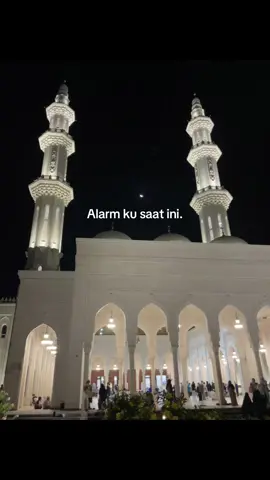 ✨🕊️#arabicsong #foryou #quotes #fypp 