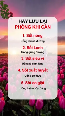 Hạ sốt nhanh , lưu lại khi cần#suckhoe #nguoicaotuoi #meogiandan #baithuocdangian #LearnOnTikTok #songkhoe247 #meohaysuckhoe