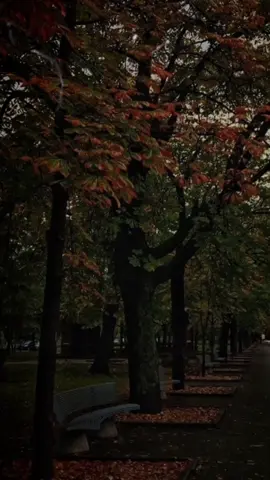 الحمدلله ♥ #المخرج_يحي_البحيري  #تصميمي #شعر #explore  #استوريات #يجيب_دا_بقا_🙂  #مؤمن_عيد #اوصل_اصبر