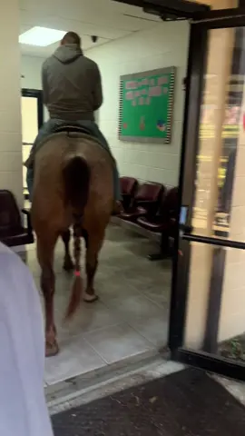 Horses gotta learn to🤷‍♂️#anythingbutabackpackday#school#fyp