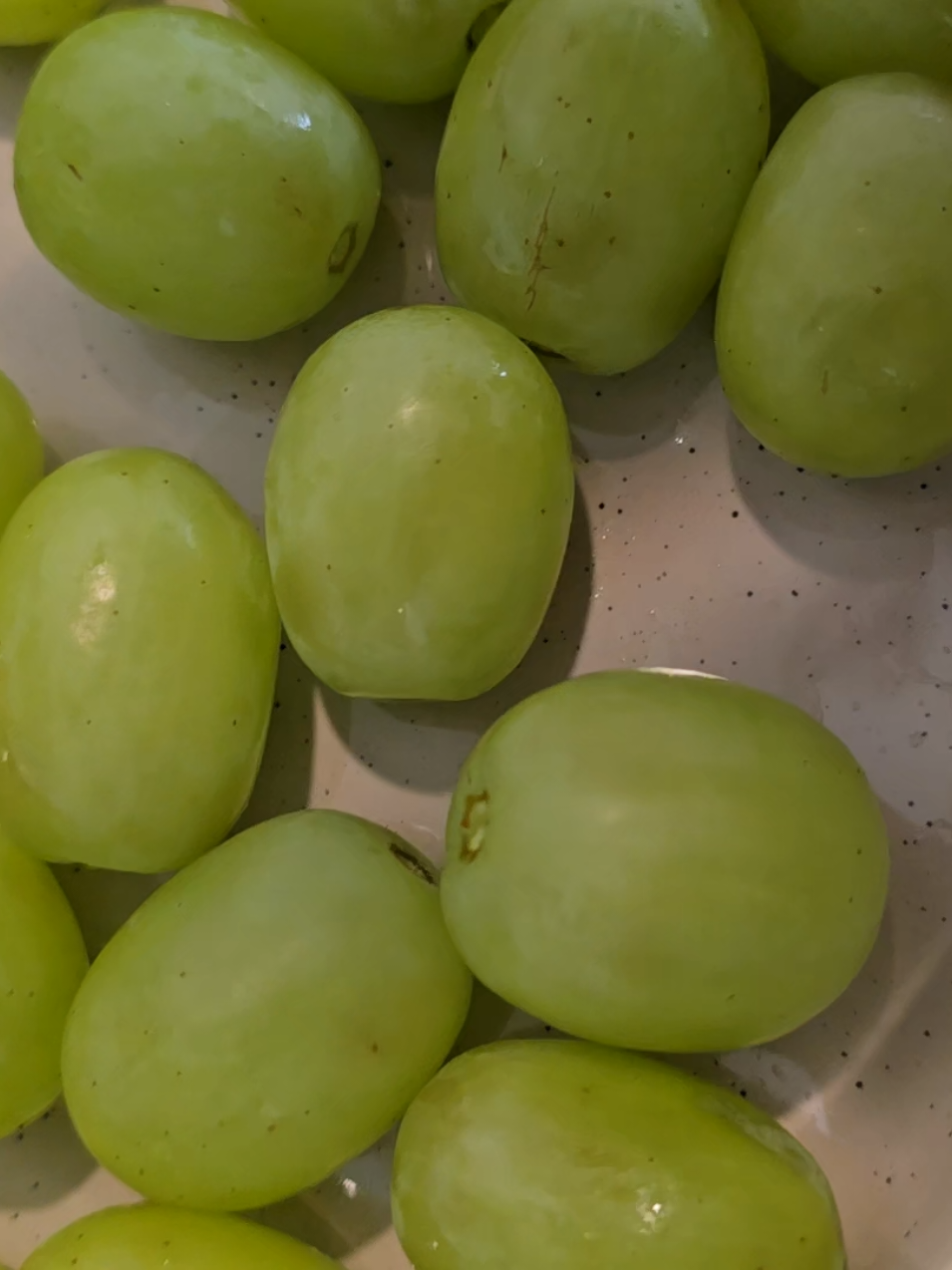 10/10 grape sound #asmr #eatingasmr #eatingsounds #grapes #crunchy 