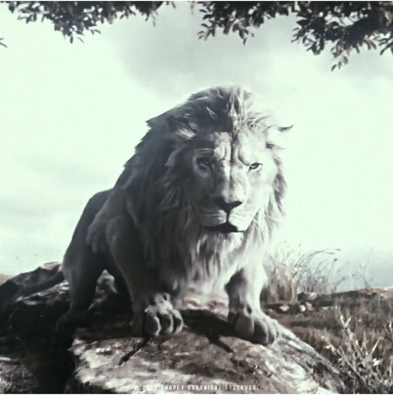 Almost as goated as Mufasa. #thelionking #mufasa #edit #aestheticedits #fyp #disney #kiros