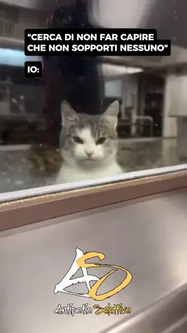 📌 In BIO il link dei libri:  ✅ 