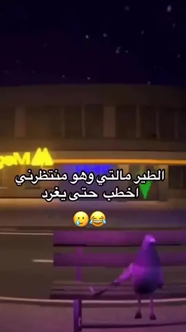 😂😂😂😂🤧 #ذكريات_ألجامعة #هشام_المخلص #البشير_شو #fouryoupage #فولو🙏🏻لايك❤️اكسبلور🙏🏻🌹💫 #بغداد_بصرة_موصل_الكويت_الخليج_دبي 