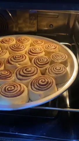 سينابون قطنه☁️ ثلاث اكواب دقيق كوب وربع مويه بالتدريج كوب حليب سايل نص كوب زيت ربع اصبع زبده ملعقة خميرة ملعقة باكنج بودر ملعقة سكر اربع ملاعق حليب بودره ظرف دريم ويب بالعجانه عشر دقايق لين تتكون عجينه تلصق باليد وتخمر ساعه الحشوة : زبده سكر بني قرفه شوكلاته بودره نفرد العجينه ونحشيها ونلفها رول وعالصينيه وتتخمر عشر دقايق عالفرن رف وسط من تحت ١٥ دقيقه لين يصير لونها ذهبي من فوق دقيقتين اخر دقيقه نصب حليب مبخر نص العلبه الكريمة : سكر بودره خمس حبات جبن كيري مربع زبده #اكسبلور #ترند #الشعب_الصيني_ماله_حل😂😂 #تصويري_احترافي_الاجواء👌🏻🕊😴 #حلويات #الاردن 