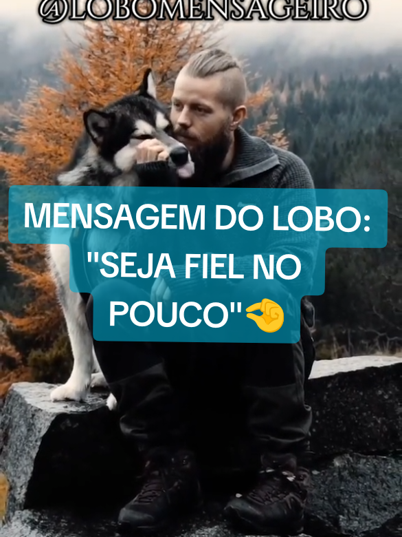 📨Mensagem do lobo para você, Seja Fiel no pouco!!🐺!@lobomensageiro#sejafielnopouco #fiel #lobomensageiro  #mensagem #lobo #navida #vida #fé #motivacao #reflexao #frasesmotivadoras 