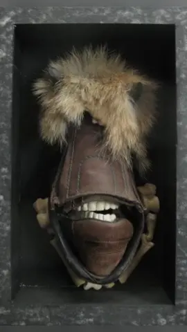 Never seen a talking shoe before 