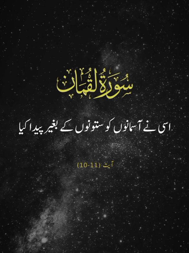 SURAH LUQMAN 🕊️❤️  VERSES 10-11 #repost #surahluqman #urduqurantranslation #alquran #explore #fyp #viral #foryourpage #qurantarjuma #withranay_ 