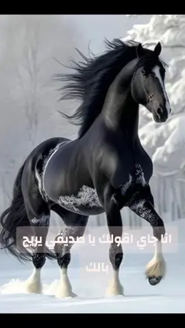 أنا جى اقولك ياصديقي ريح بالك (👑أنت قد الدنيا👑)#فارس_قطرية @꧁🐎☬آبـٌہوٌُهہيہبــہهہ☬🐎꧂ 