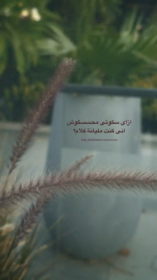 #ramysabry #رامى_صبرى #هواجيس #اقتباسات_عبارات_خواطر #mutevoiceshala 