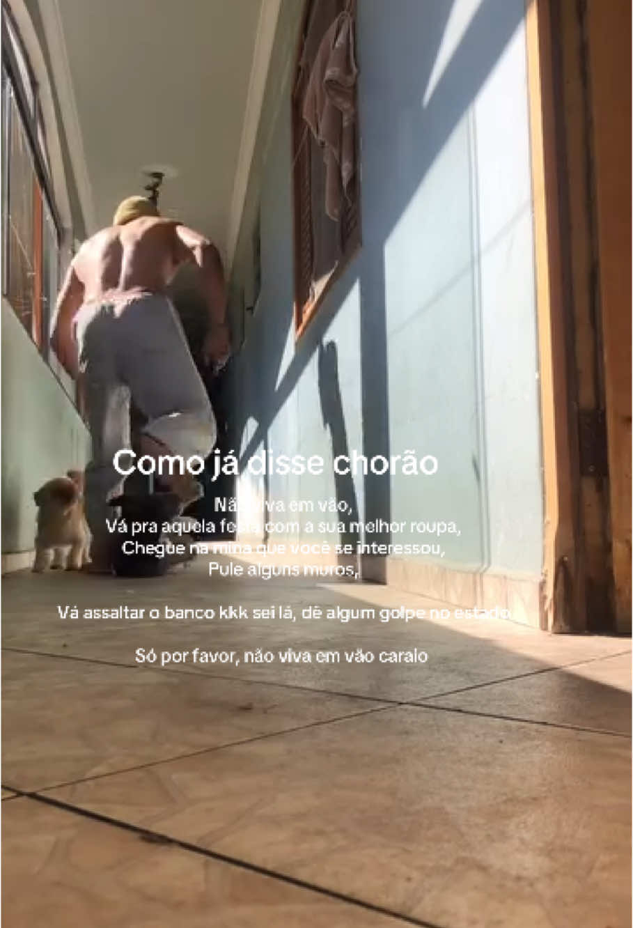🐺🐕‍🦺