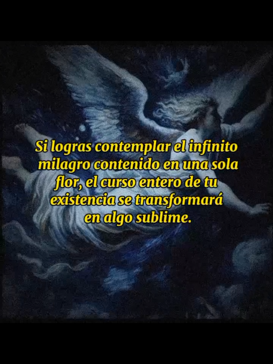 Esta frase nos invita a ver más allá de lo cotidiano y a descubrir lo extraordinario en lo aparentemente simple. La flor simboliza la belleza y el misterio de la vida, algo que damos por sentado pero que encierra la inmensidad del universo en su fragilidad. Al contemplarla con asombro genuino, nuestra perspectiva cambia, recordándonos que la grandeza no está en lo grandioso, sino en la capacidad de maravillarnos con lo esencial. Al hacerlo, nuestra vida, cargada de rutina y distracciones, se eleva hacia lo sublime, hacia una conexión más profunda con todo lo que nos rodea. #filosofos #Poesia #Poesia #Frases #filosofiaoscura #filosofia @Amante Errante @TikTok 