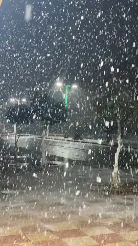 Snowfal in aflou 📍❄️ #snow #snowfall #aflou #شعب_الصيني_ماله_حل😂😂 ##افلو 