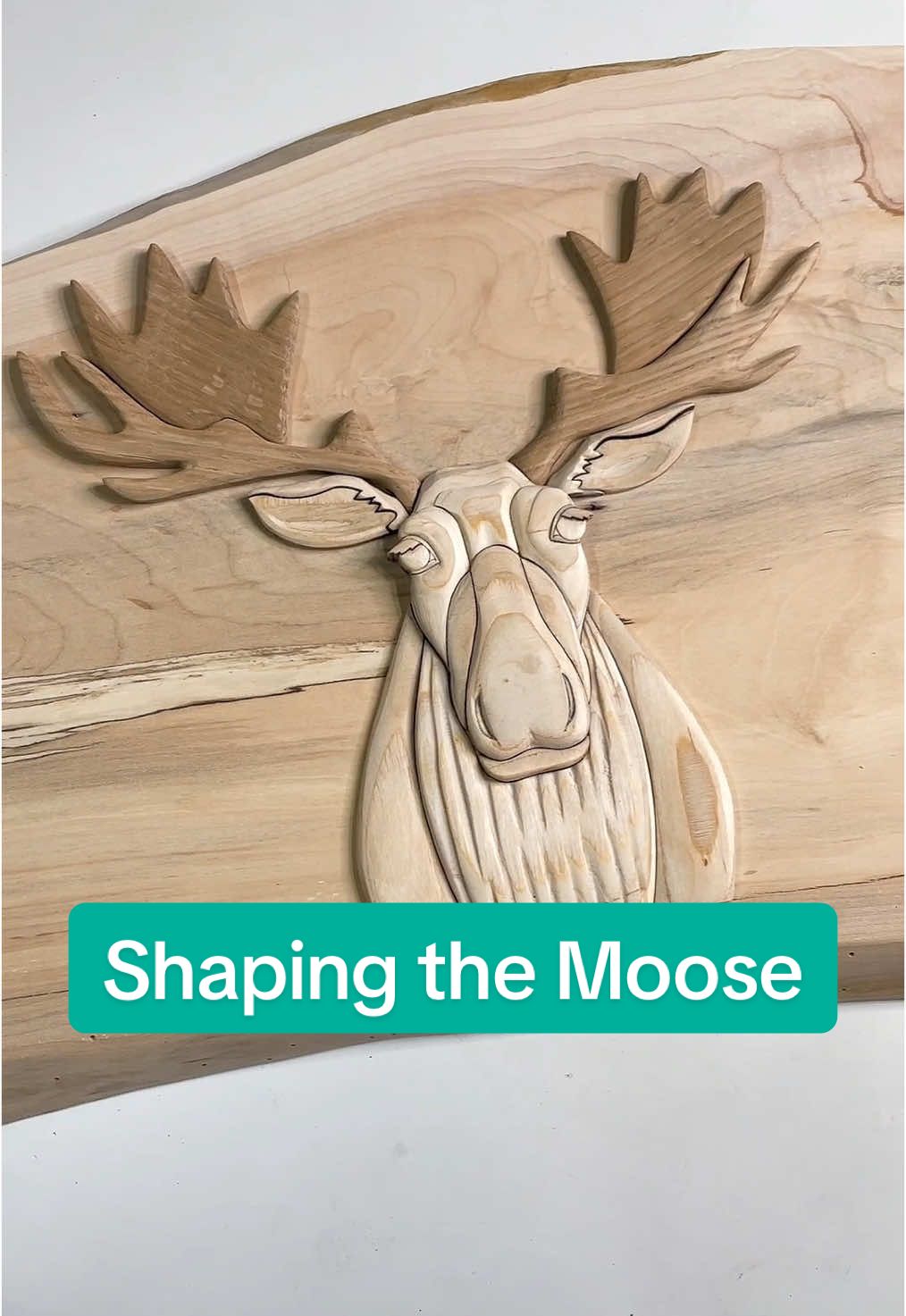 Shaping the moose. #woodworkingartists #natureart #lasermachine #lasercut #artistsoftiktok #woodshaping #powercarving #woodensigns #creatorsearchinsights 