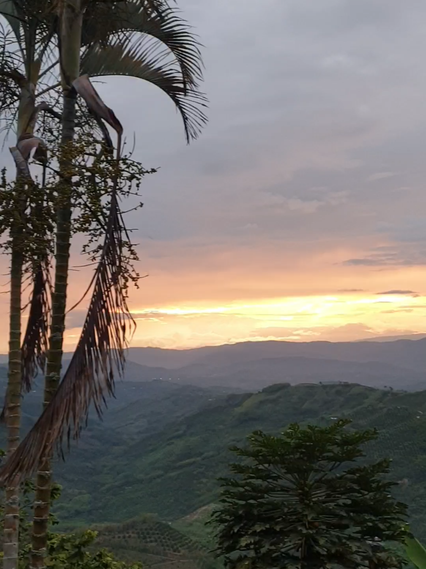 les dejo un bello atardecer  #atardecer  #puestadesol  #salsa  #amolasalsa  #nice  #palmas  #palmera  #manizales  #cosasbonitas #gruponiche  #gruponicheoficial #salseros  #quecosasbonitas 