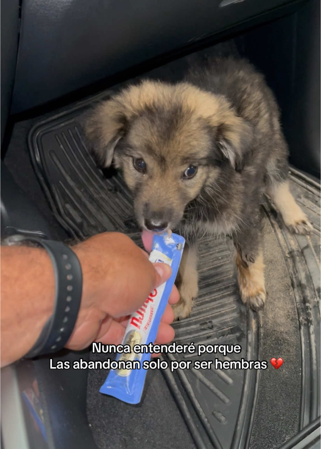 Nunca entendere porque no las quieren 💔#rescatedeanimales #perro #rescateanimal #animales #ayudandoanimales #animls #mascotas 