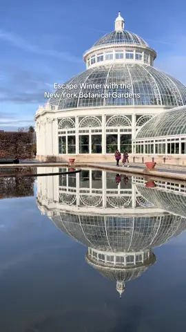 Nothing like an 80 degree greenhouse when it feels like 10 degrees outside  #plants #greenhouse #newyorkcity #thingstodoinnyc #winteractivities @NYBG 