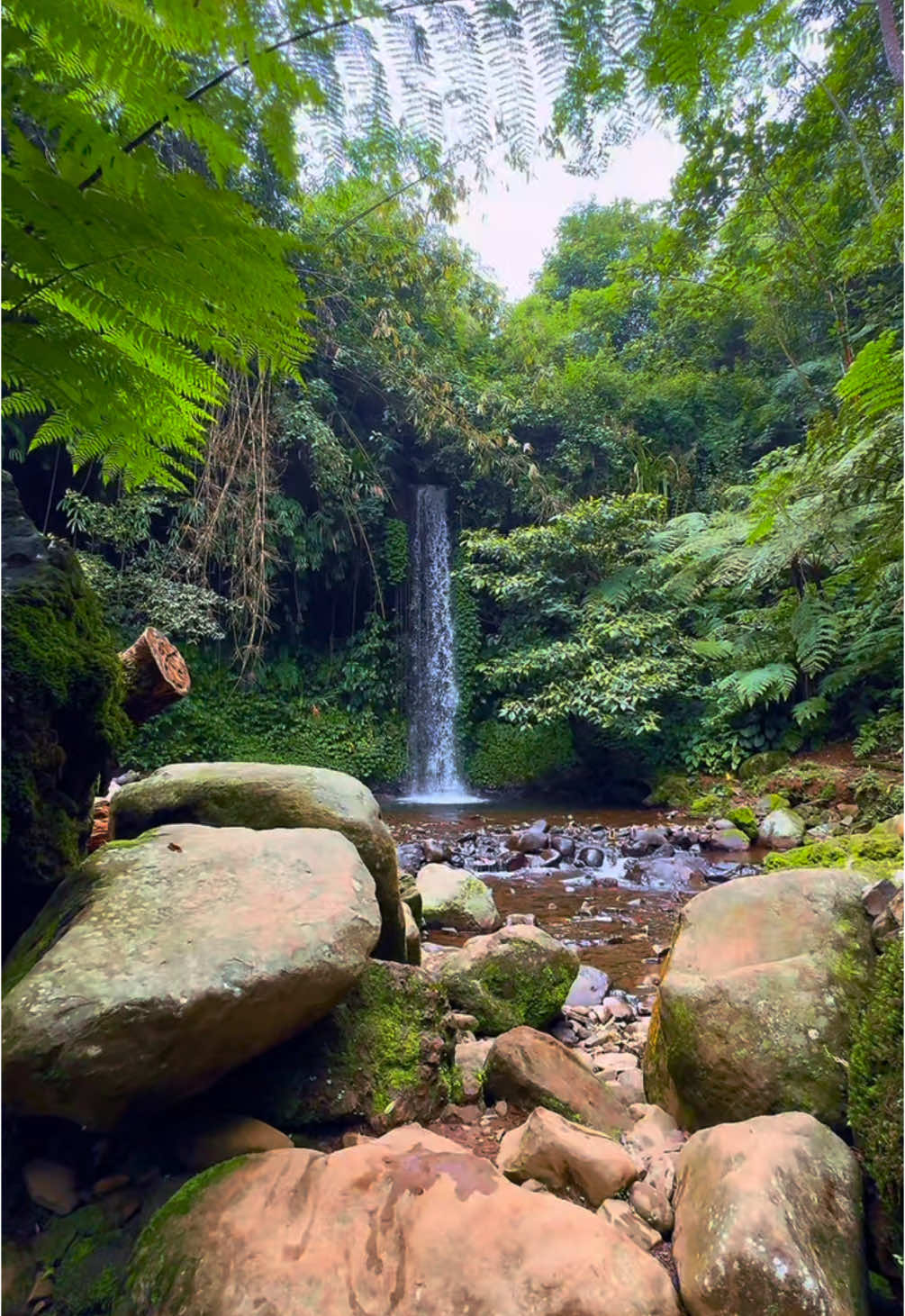 Ketemu Curug aesthetic di Subang..  orang Subang udah pernah kesini belum? #holiday #healing #jalanjalan #liburan #wisata #wisatasubang #backpacker #traveling #solotraveller #solobackpacker #fyp #piknikairterjun #subang #exploresubang #jawabaratbeautiful 