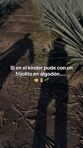 Como de que no 🤠👸🏻💅🏻 #emprendedora #bootcampuntalfredo #sisepuede #agricultura #maguey #tiktokagricola #mujerderancho 
