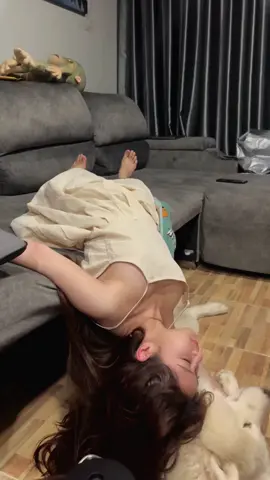 trời lạnh ở nhà chơi với chó thôi #viral #trending #cute #douyin抖音 