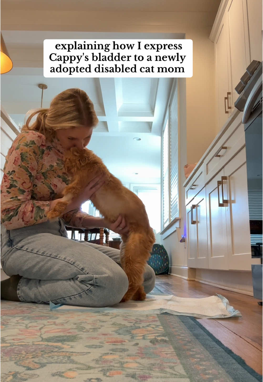 Sharing my expression techniques with a first time incontinent cat owner 🥲💗 #disabledcat #tipsandtricks 