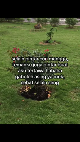 #galaubrutal 