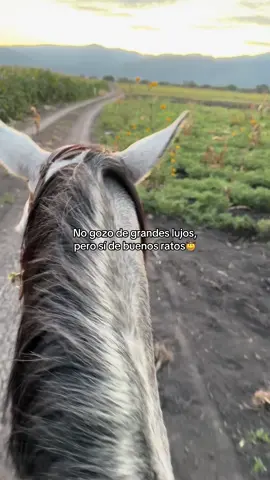 Lo mejor✨🐎🐴#fyp #paratí #really #vaquera #caballos #contenido 