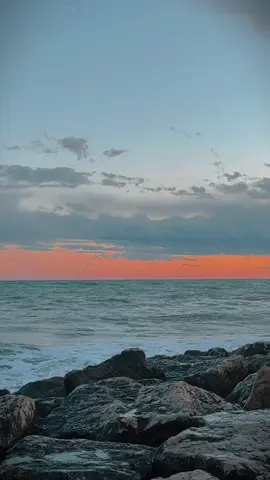 #Caplyric #fyp #spain #viral #Nature #reality #thefrequency #electronicmusic 