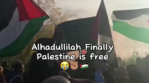 Alhamdullilah 😭✊🏽🇵🇸  #fouryoupage #fyp #fouryou #🖤 