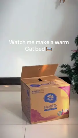 So eaay to make one #cats #DIY #handmade #craft #ideas 