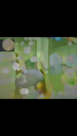#ພີ່ກ້ອງຕົວປອມ 