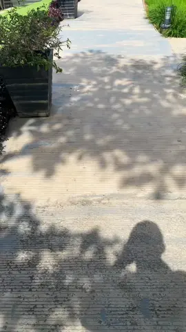 Subrang sarap mag pa bukid. #bansadasultankudarat😉😄  #bansadaagriecoadventurepark 