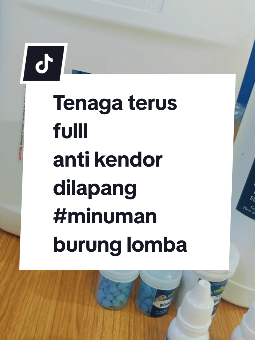 rebolite campuran minuman lomba atau latihan #vetafarm #rebolite #minumanburung burung