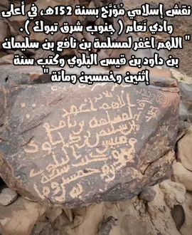 #بلي #قبيلة_بلي #بلي_هامه_قضاعه #قضاعه #صحابة #خولان #حرب #جهينة #نهد #بني_زيد #مهره #تاريخنا_العظيم⚡️📚 #تبوك #تبوك_الورد_تبوك_تيماء_ضباء_حقل #العرب #قحطان #عدنان 
