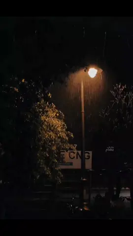 شوفتوا حبيبي اللى باع بيدور ع اللى ضاع 😄  #تامر_عاشور #الالبوم_الجديد #حبيبي_القديم #ياه #اغاني #2025 #fypシ゚viral #fyyyyyyyyyyyyyyyy #tamerashour #povs 