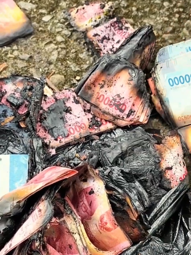 Perlu solusi untuk menyelamatkan puluhan juta ini #uang #uangterbakar 