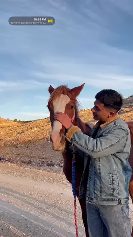 #ماشاء_الله #النوايسه🦅🦅🦅 #الكركي🇯🇴 #🖤 #foryou #fyp 